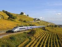 © Lyria Guy Perrenoud