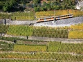 Le train à crémaillère Aigle - Leysin, Aigle