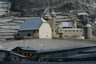 Château d'Aigle, Aigle © José Crespo